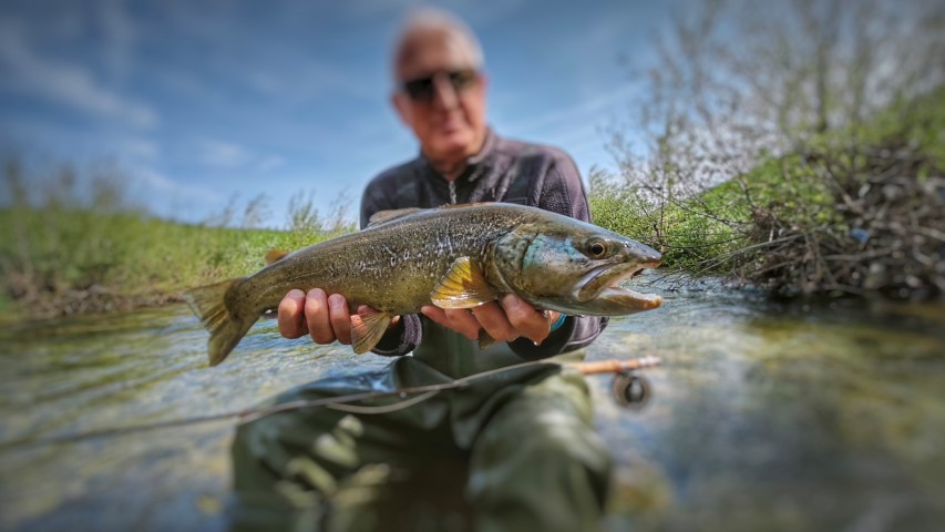 Andrew dry fly Marble.